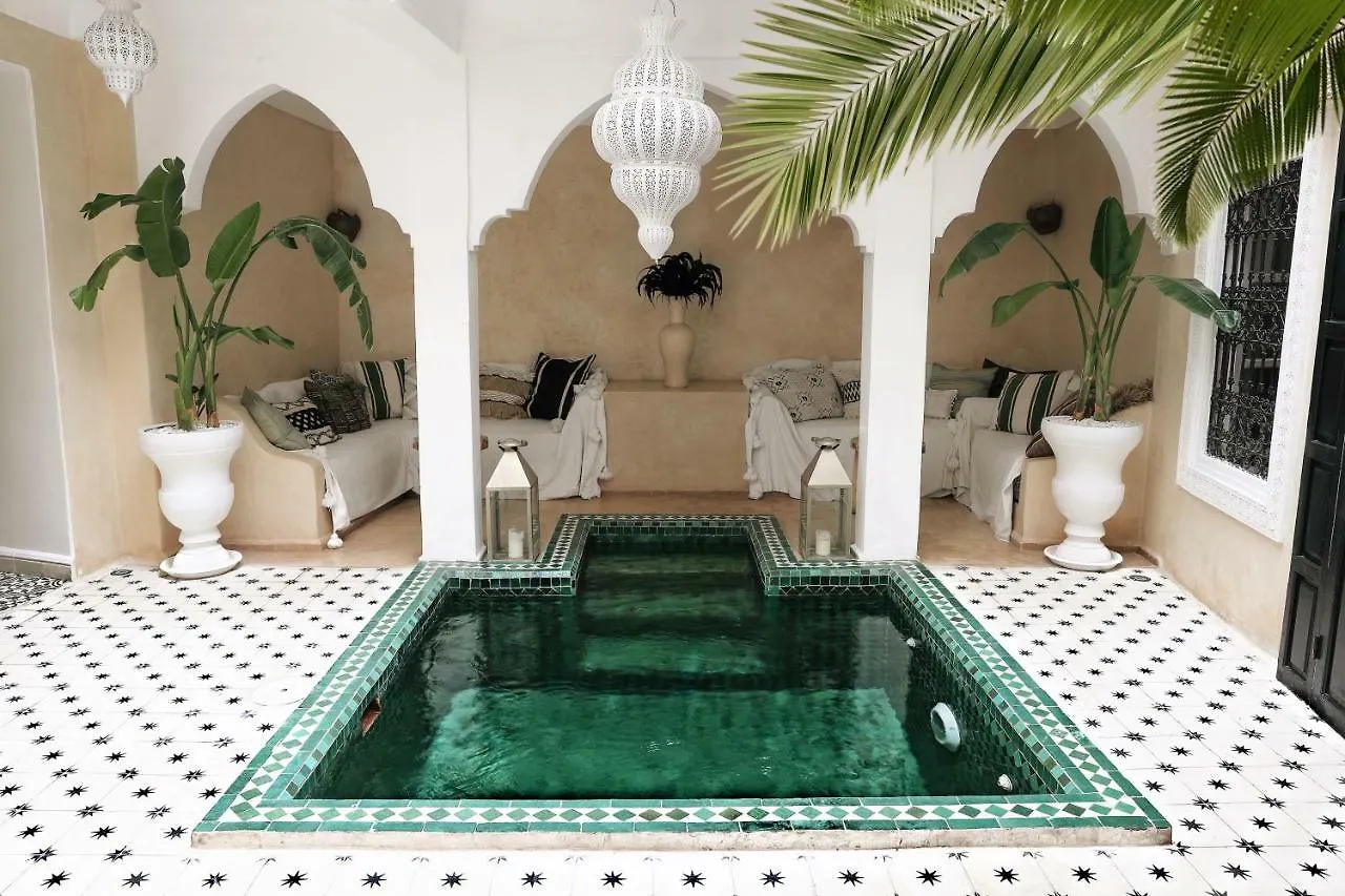 Riad Shiraz contacts